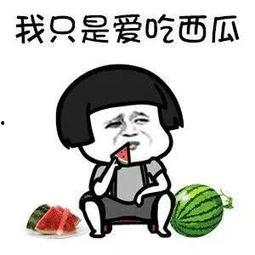 带你吃瓜之娱乐项目,揭秘娱乐圈幕后故事