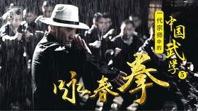 八卦掌和咏春,融合传统武术精髓的绝学之道