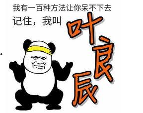 贾玲记下了 表情包